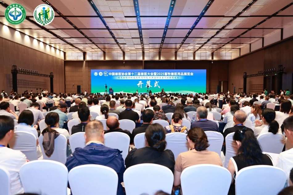 開幕式.jpg 開幕式.jpg